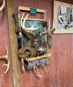 full cape frame_edited.jpg