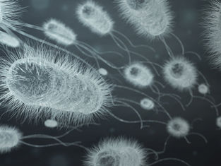 La semana en que el cáncer colorrectal dejó de esconderse