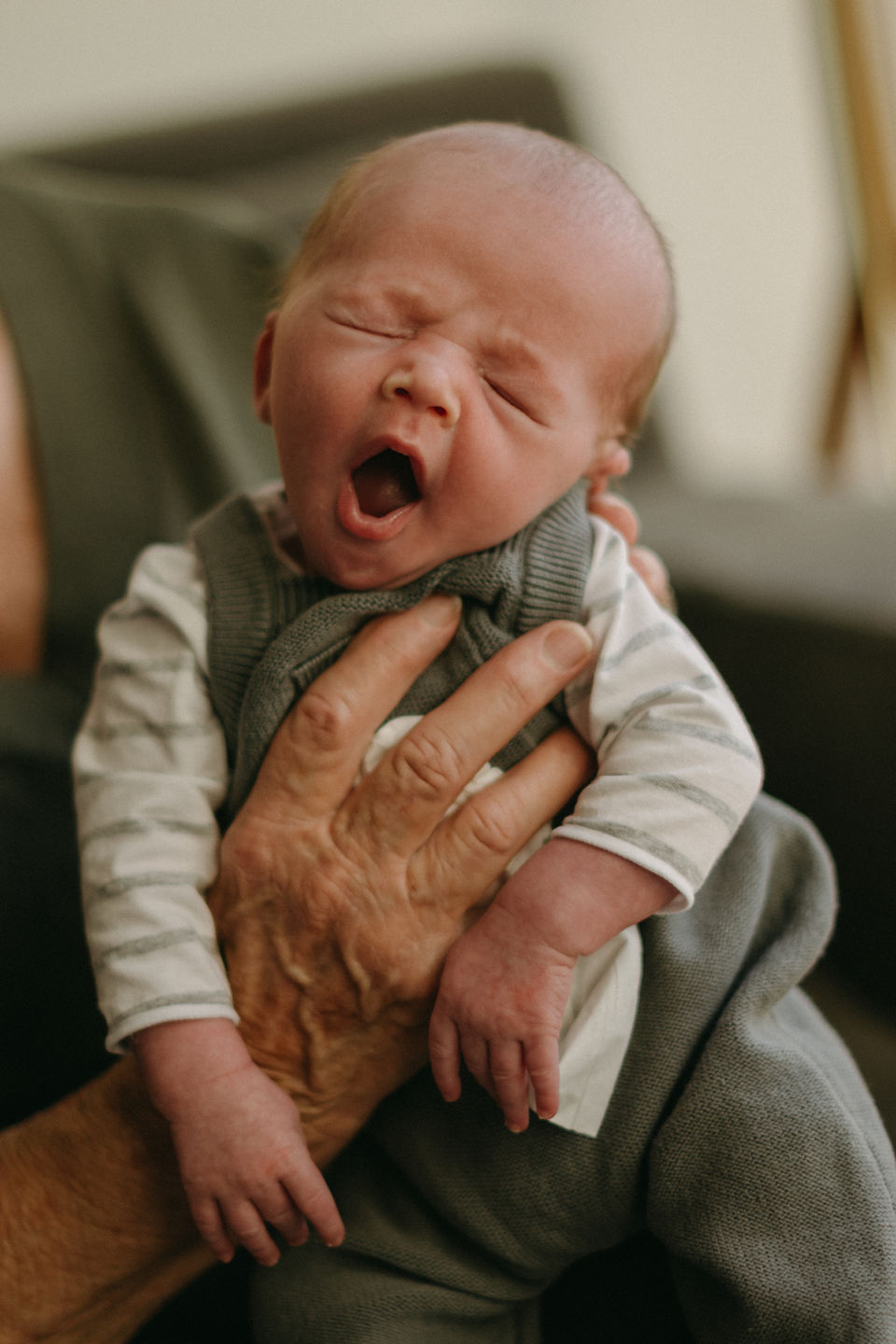 Newborn & Family Photographer