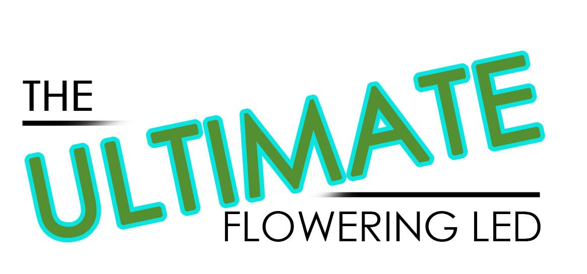 miamily discount code
