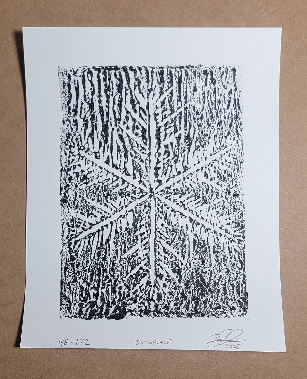 Snowflake (#1) - 172