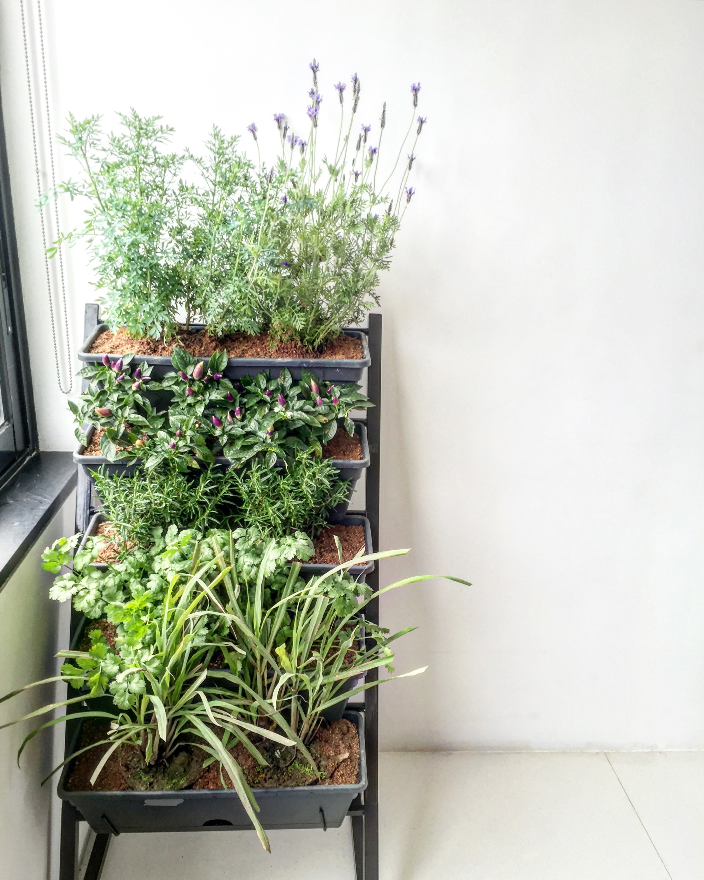 Staging and Styling