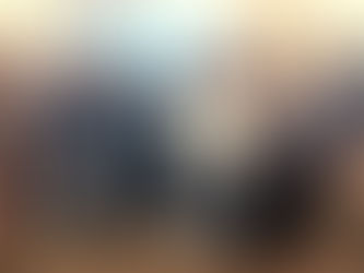 Blakely Rotary Club hosts roundtable on QTS data center