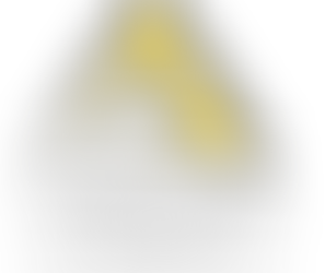 Opportunities to train a quality workforce