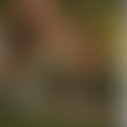 Equipping Leaders with Grace: 7 Questions with Coach Samuel Simanjuntak