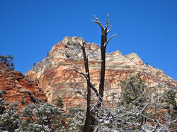 01062017_PS_059_300dpi_fin