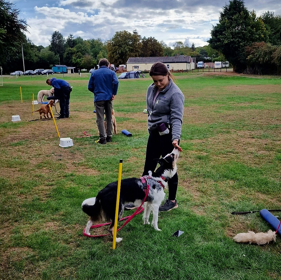 Screenshot_20220924-181828_Instagram