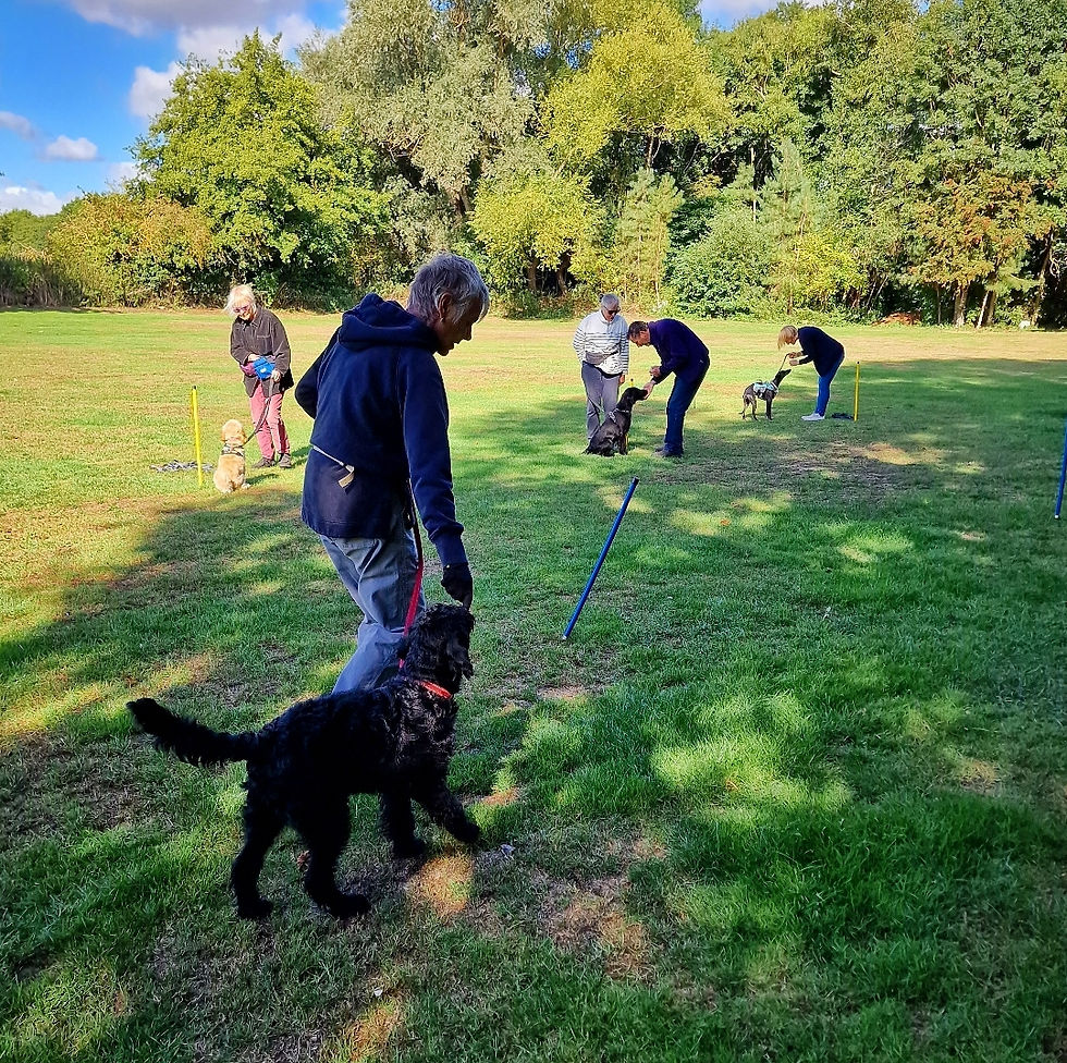 Screenshot_20220916-205004_Instagram