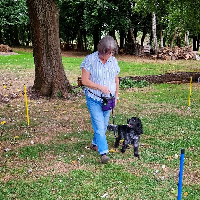 Screenshot_20220924-183014_Instagram_edited