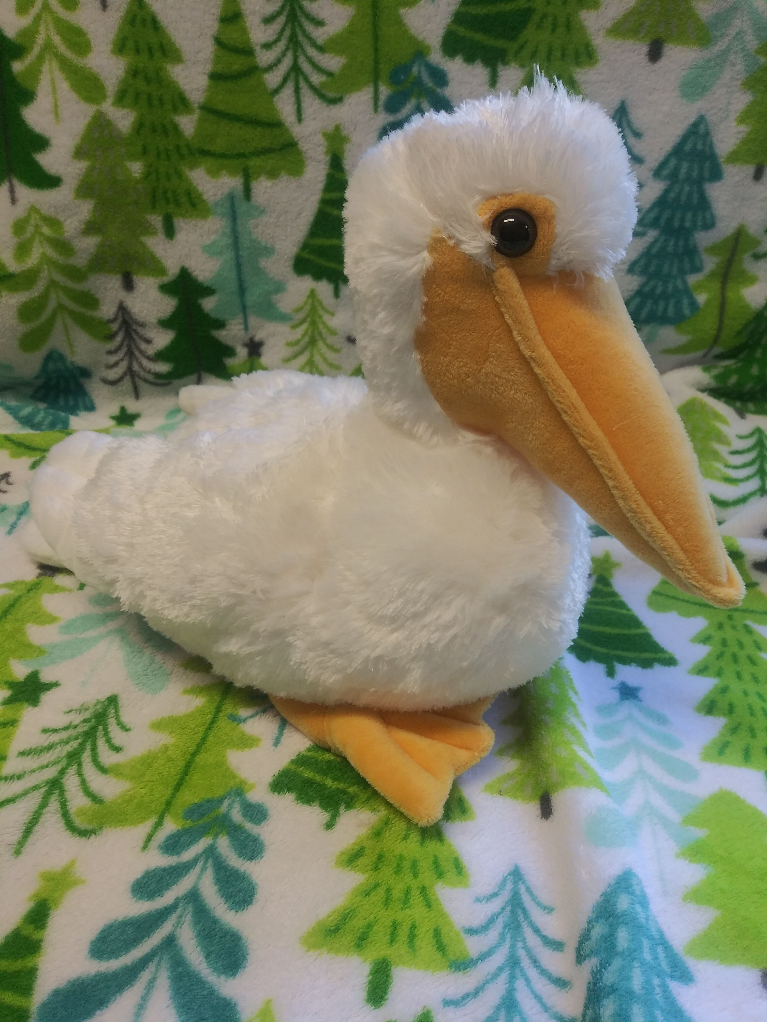 Adopt the American White Pelican