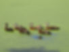 DSCN0838.JPG