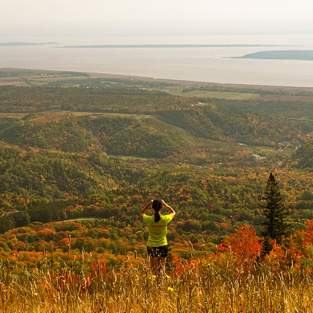 Si on faisait ensemble!