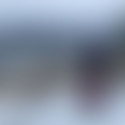 La vie, ce long chemin…pas du tout tranquille!!!