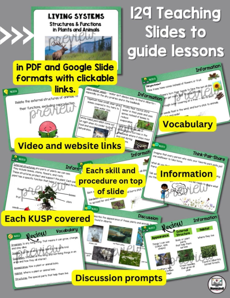 Thumbnail: LIVING SYSTEMS - Structures & Functions of Plants and Animals - Grade 4 Science