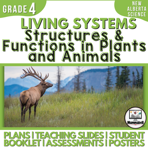 Living Systems Structures Functions Of Plants And Animals Grade 4
