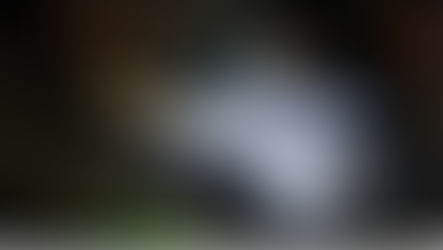 Andarilho morre atropelado na BR-116