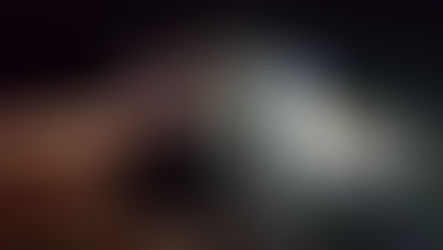 Carreta tomba, pega fogo e interdita pista da BR-116