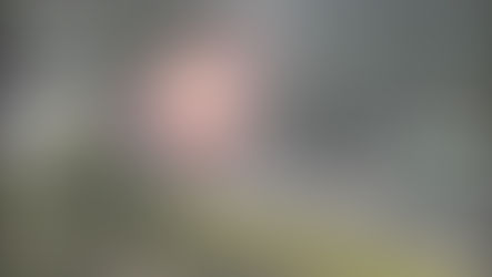 Caminhão tomba e pega fogo na BR-116