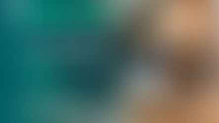 Colombo terá castração gratuita de animais