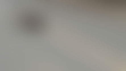 Morador flagra bugio “passeando” pelas ruas de Quatro Barras