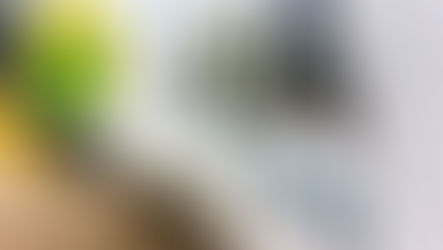 Morador é ameaçado por cadeirante armado em Quatro Barras