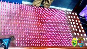 Ação contra o tráfico resulta em grande apreensão de drogas em Colombo