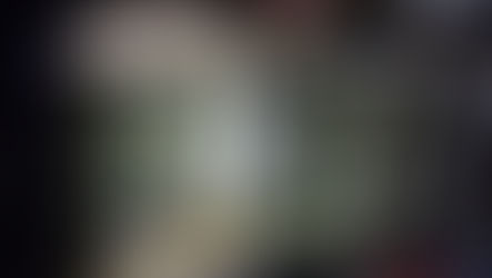 Ponto de tráfico de drogas é desmantelado na área rural de Campina