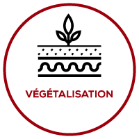 Végétalisation