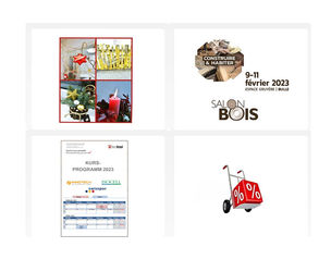 Newsletter 8/2022