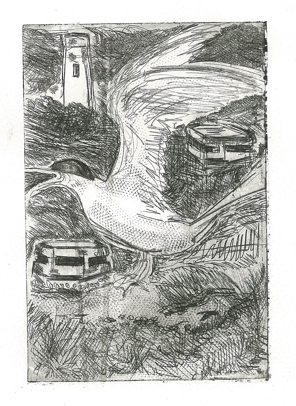 Thumbnail: The Punk Rock Birdwatching Club