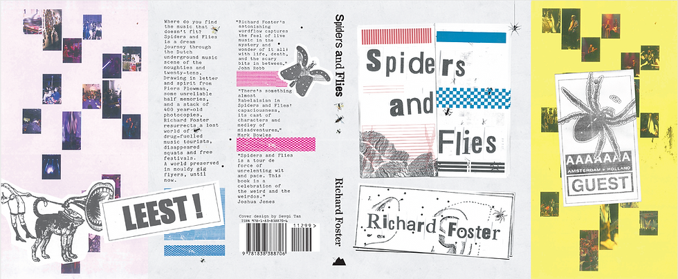 Thumbnail: Spiders and Flies