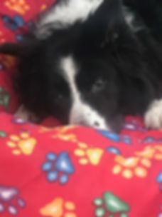 Caragh