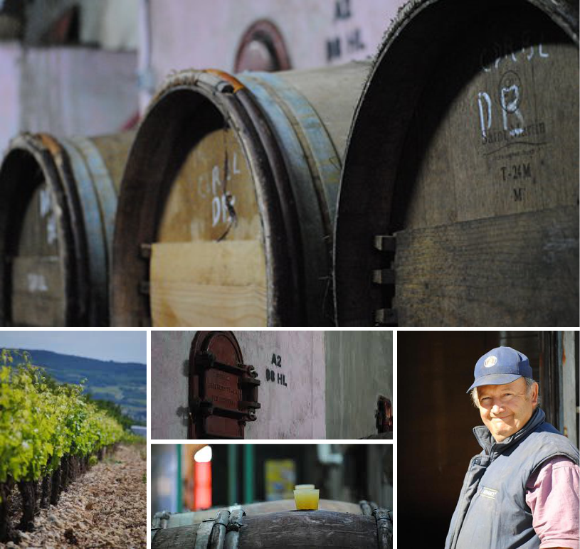 Domaine Les Asseyras