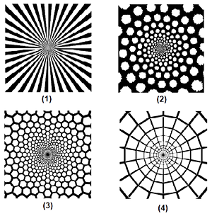 planform constants_edited.png