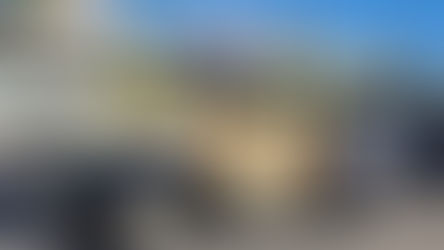 The Padilla & Rodriguez Attorneys at LawClassic Pickup