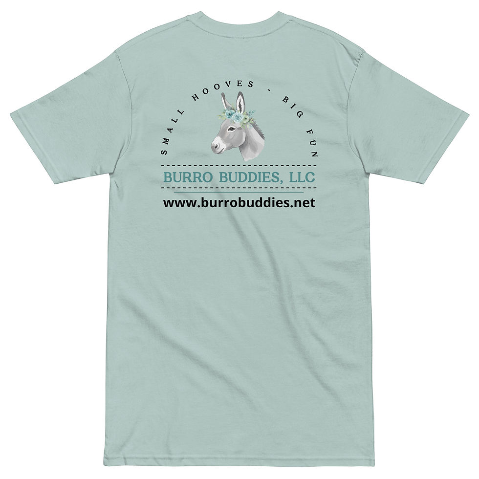 Thumbnail: Men’s premium heavyweight tee