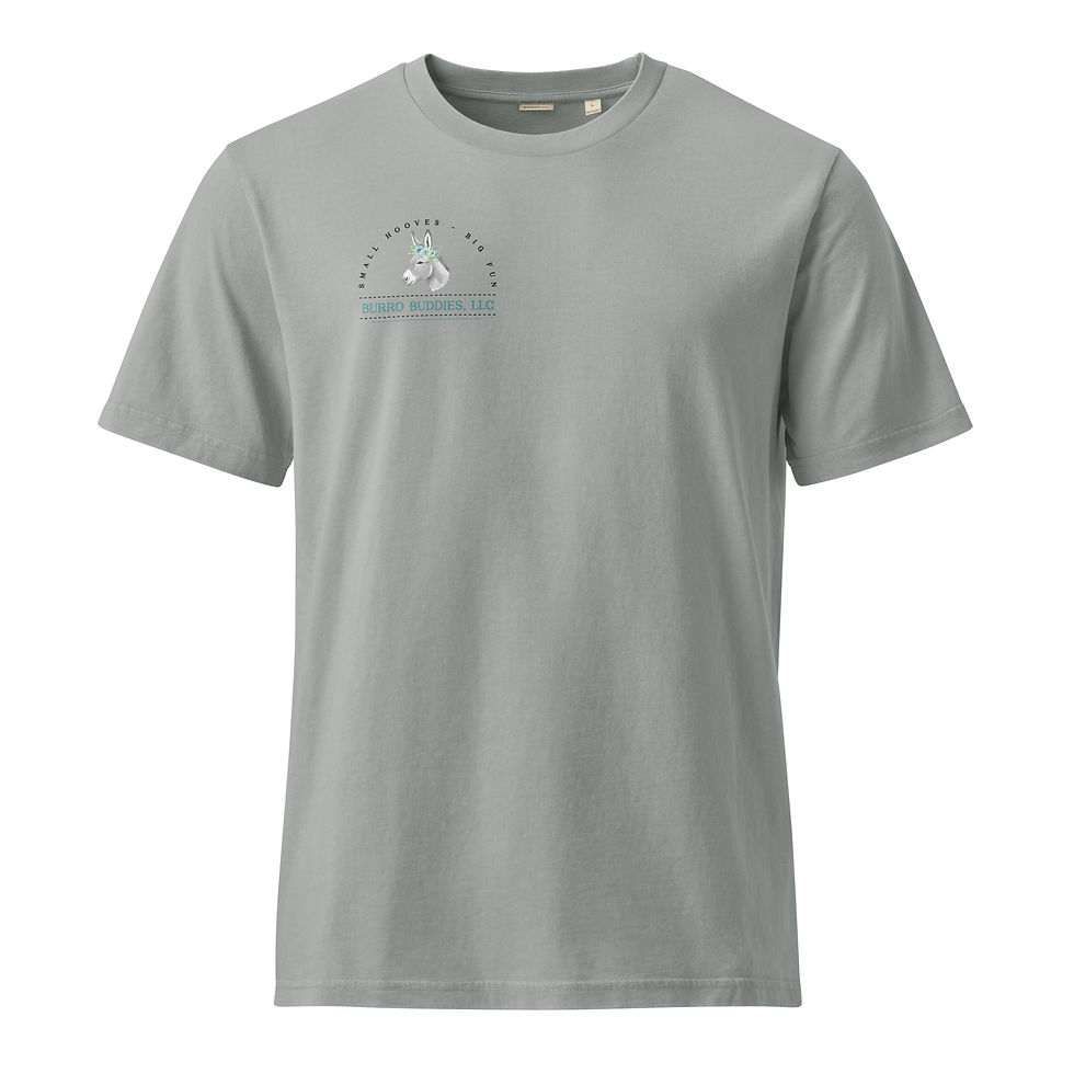 Thumbnail: Unisex Garment Dyed Creator 2.0 Vintage T-Shirt | Stanley/Stella SATU041