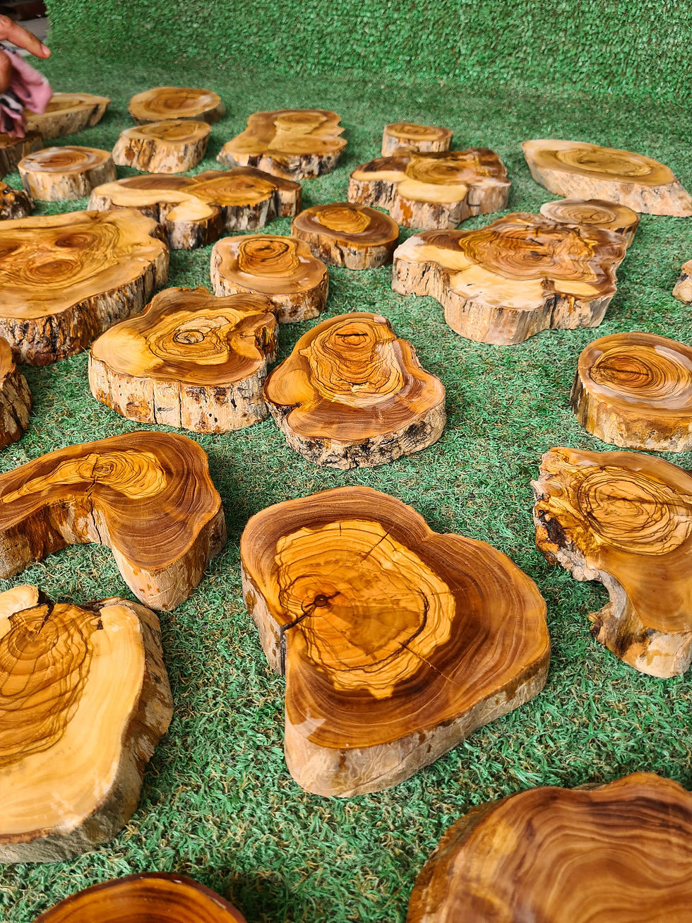 Thumbnail: Live Edge Olive Pieces For Resinart Work, Olive Wood Slabs For Epoxy