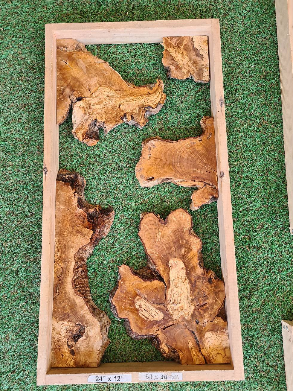 Thumbnail: Live Edge Olive Wood Slices For Resin Art Projects, Olive Wood Epoxy Boards