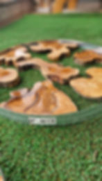 Live Edge Olive Wood Slices For Round Resin Art Projects, Olive Wood Epoxy Boards For Epoxy Tables, DIY Wood Art Epoxy Wood S