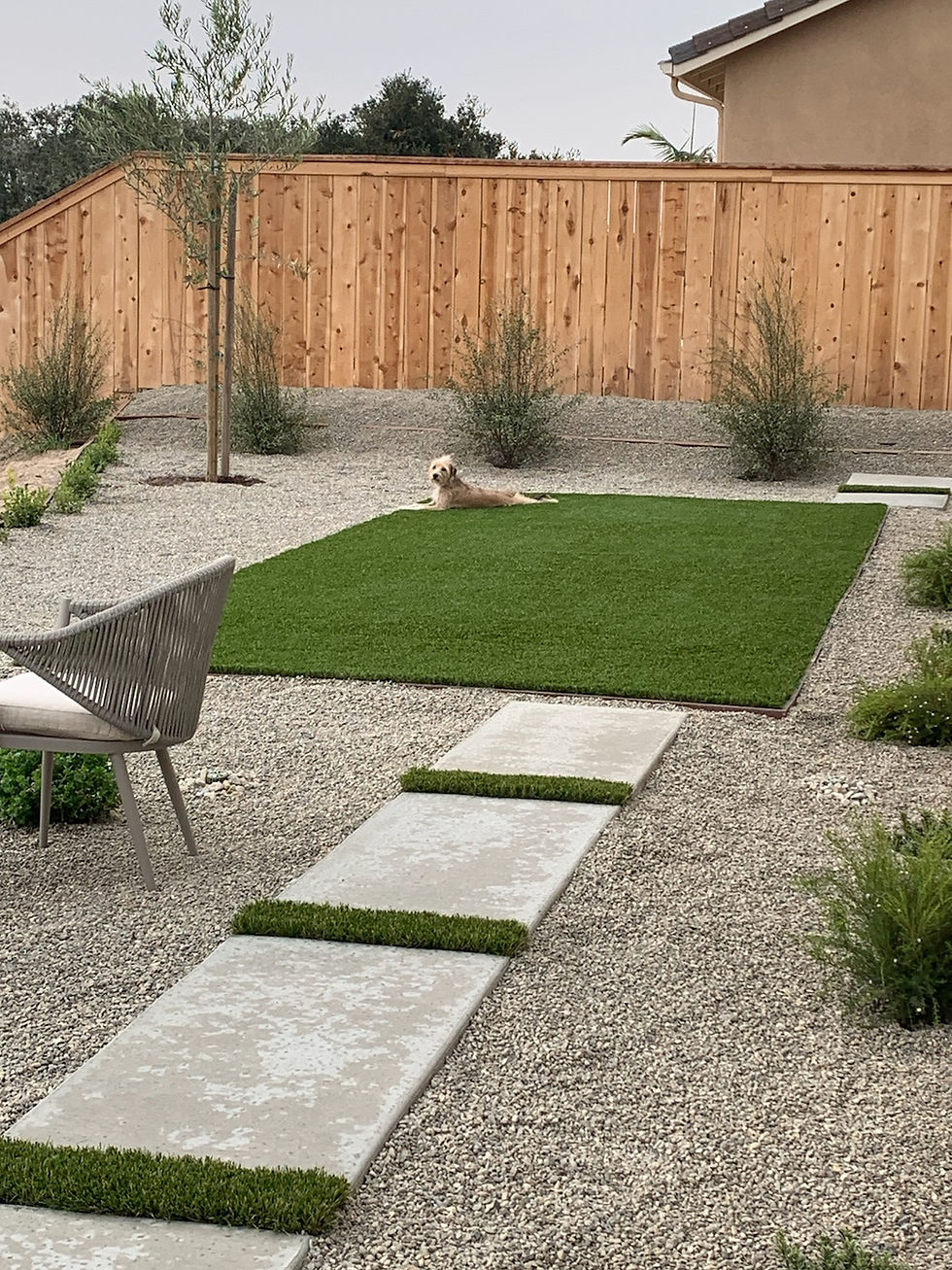 Low Maintenance Landscaping