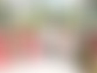 మహిళా సంక్షేమ కేంద్రం 11వ వార్షికోత్సవం