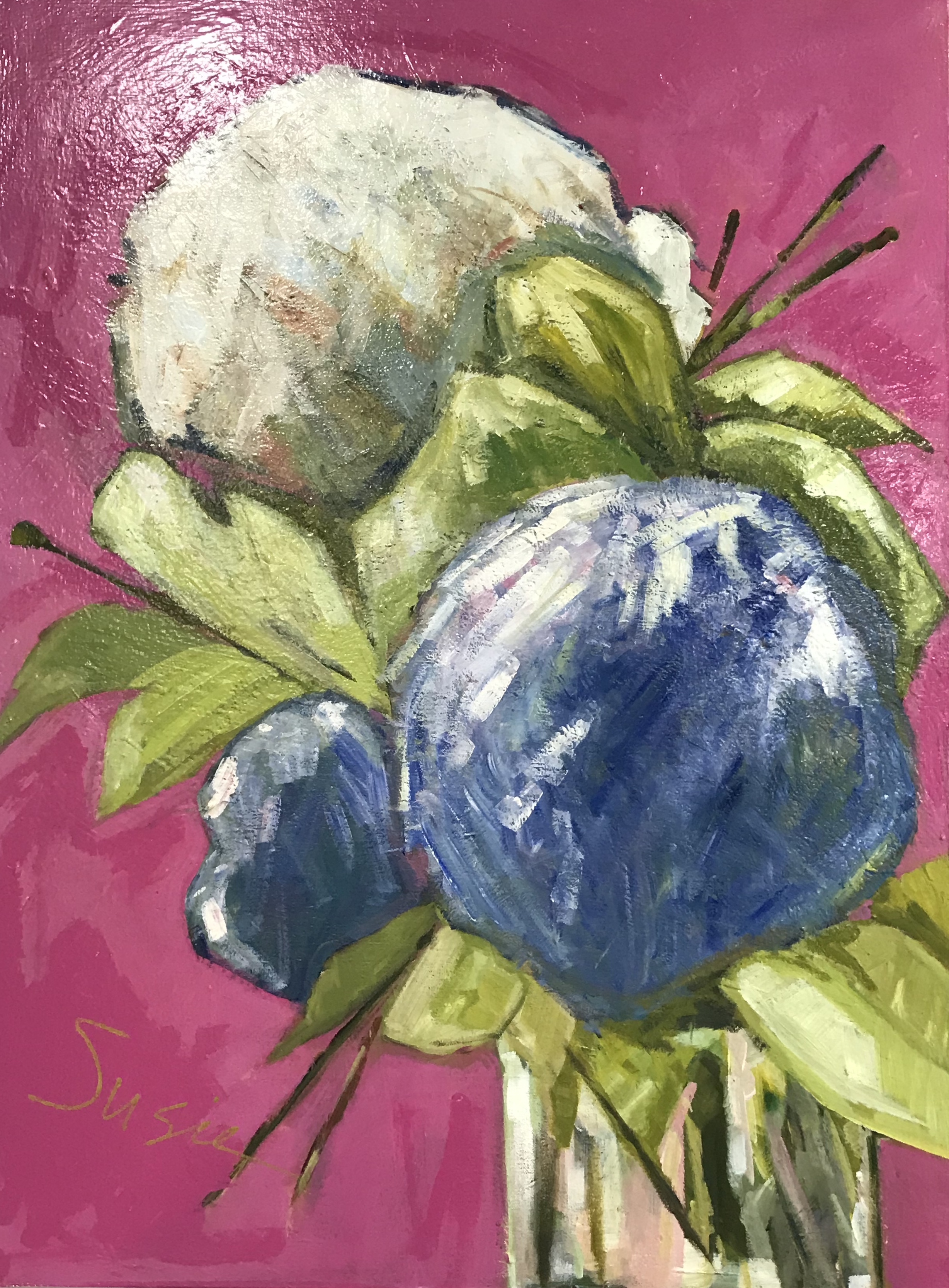 "Big Pink Hydrangeas"