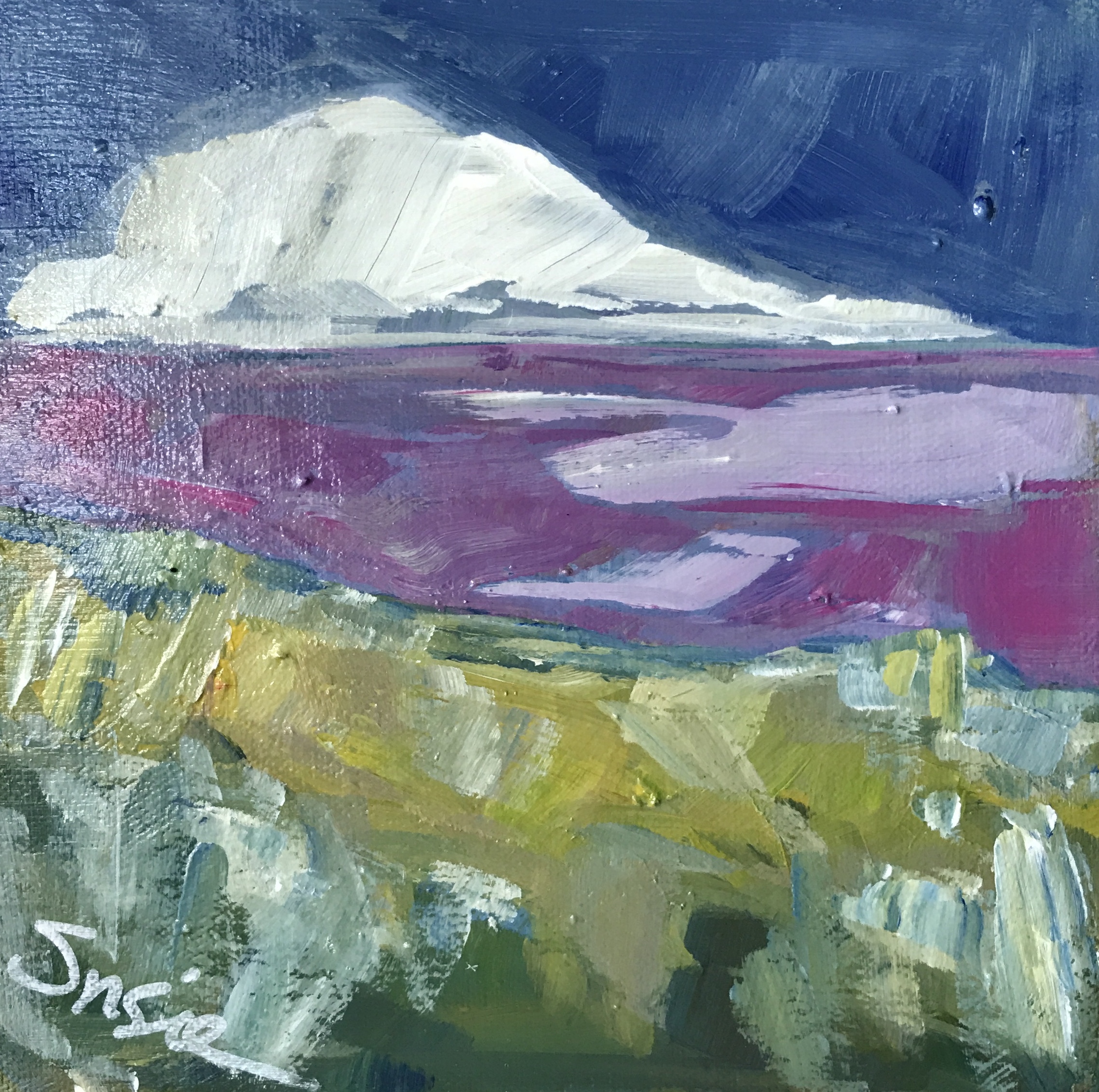 "Pink Landscape"