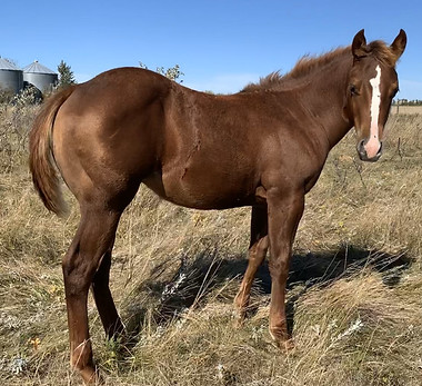 Riettas Light IMG_3224[1].jpg