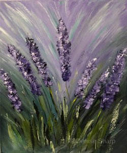 Lavender