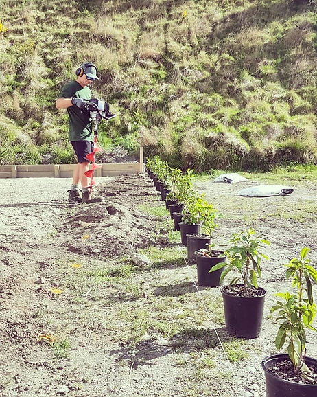 Planting Shotover Country.jpg