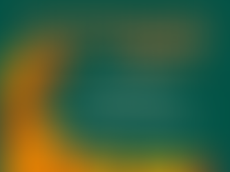 THANKSGIVING BREAK: Nov. 20th - Nov. 24th