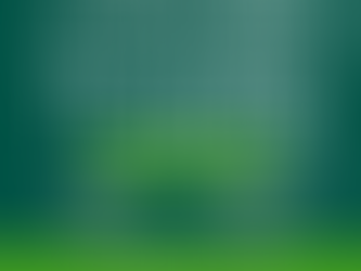 NEW Summer Tour Dates Available