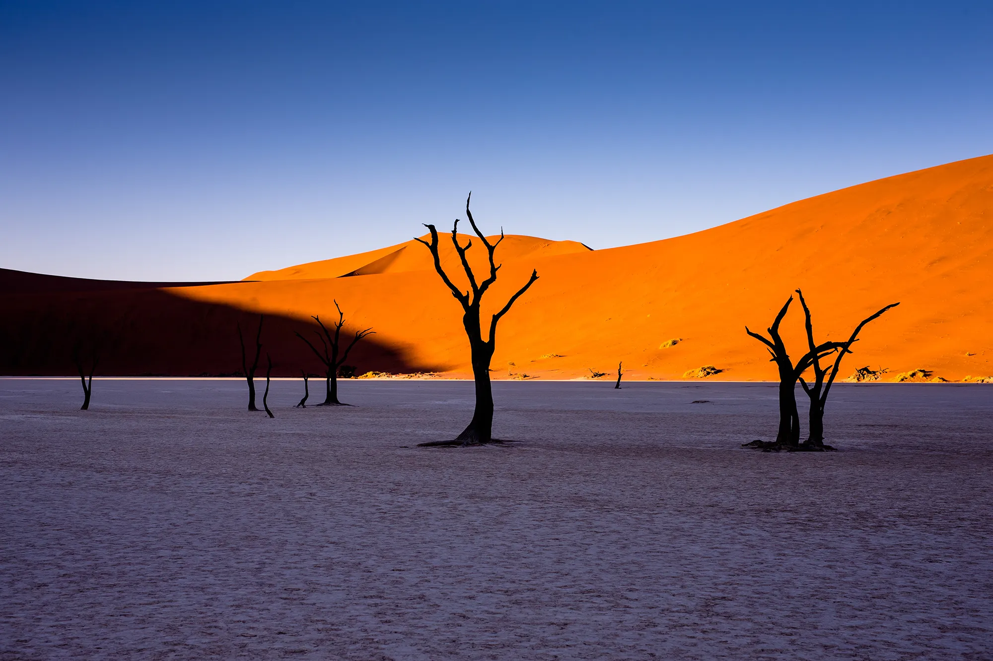 Sossusvlei dunes Namibia